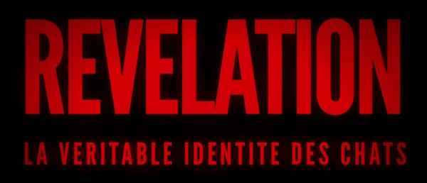 Révélation identité chats