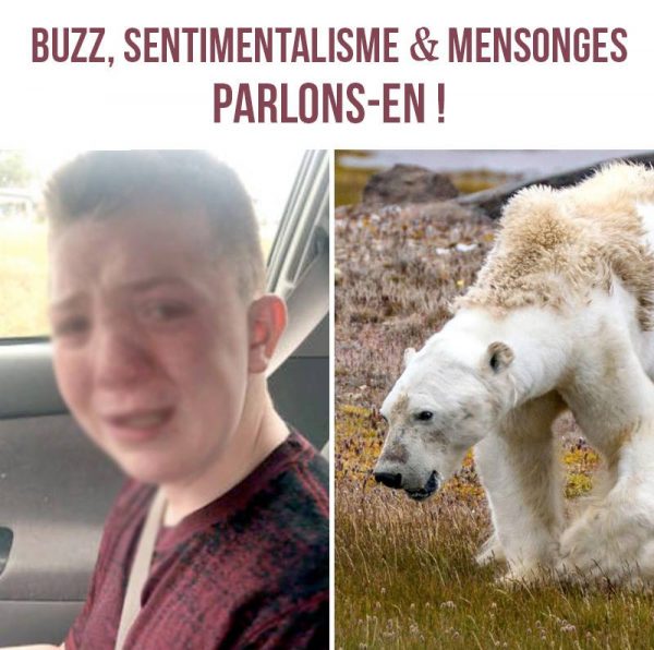 Buzz, sentimentalisme et mensonges - Parlons-en!